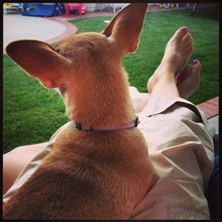 Angela Kinsey feet photo thumbnail