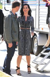 Katy Perry feet photo thumbnail