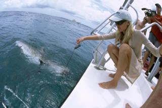 Heidi Klum feet photo thumbnail