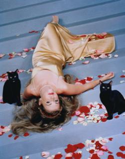 Melissa Joan Hart feet photo thumbnail