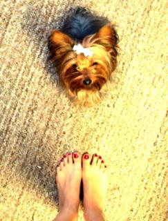 Cynthia Rodríguez feet photo thumbnail