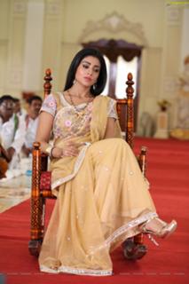 Shriya Saran feet photo thumbnail