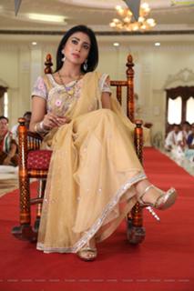 Shriya Saran feet photo thumbnail
