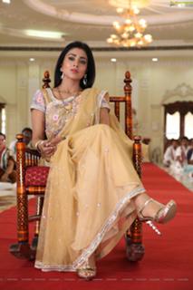 Shriya Saran feet photo thumbnail