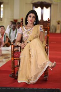 Shriya Saran feet photo thumbnail