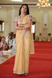Shriya Saran feet photo thumbnail