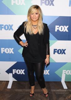 Demi Lovato feet photo thumbnail