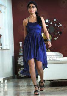 Shriya Saran feet photo thumbnail