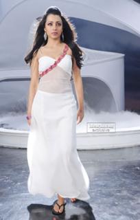 Trisha Krishnan feet photo thumbnail