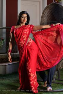 Shriya Saran feet photo thumbnail