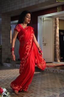 Shriya Saran feet photo thumbnail