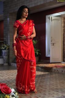 Shriya Saran feet photo thumbnail