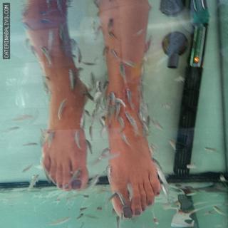 Caterina Balivo feet photo thumbnail