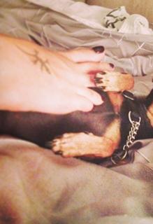 Elisabetta Canalis feet photo thumbnail