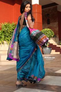 Shriya Saran feet photo thumbnail