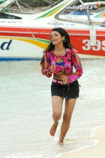 Trisha Krishnan feet photo thumbnail