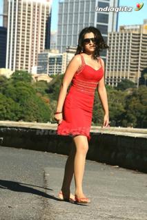 Trisha Krishnan feet photo thumbnail