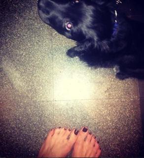 Emmy Rossum feet photo thumbnail