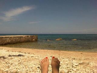 Shannon Bream feet photo 2