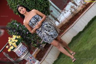 Shriya Saran feet photo thumbnail