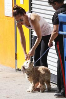Minka Kelly feet photo thumbnail