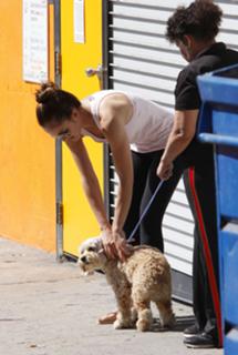 Minka Kelly feet photo thumbnail