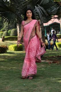 Shriya Saran feet photo thumbnail