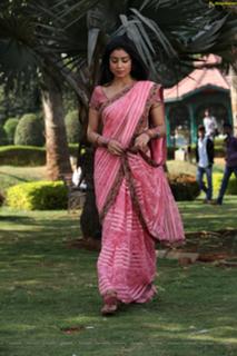 Shriya Saran feet photo thumbnail