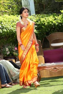 Shriya Saran feet photo thumbnail