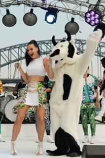 Katy Perry feet photo thumbnail