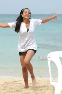Trisha Krishnan feet photo thumbnail