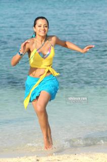 Trisha Krishnan feet photo thumbnail