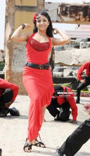 Trisha Krishnan feet photo thumbnail
