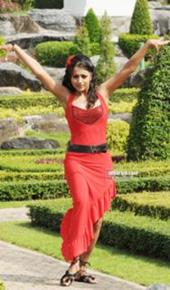 Trisha Krishnan feet photo thumbnail