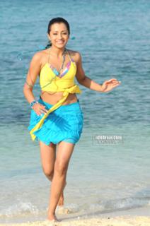 Trisha Krishnan feet photo thumbnail
