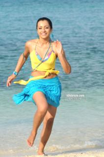 Trisha Krishnan feet photo thumbnail