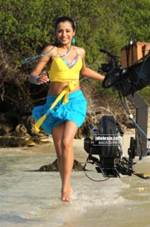 Trisha Krishnan feet photo thumbnail