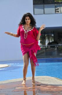 Taapsee Pannu feet photo thumbnail