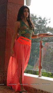 Shriya Saran feet photo thumbnail