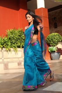 Shriya Saran feet photo thumbnail