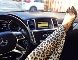 Jelena Karleusa feet photo thumbnail