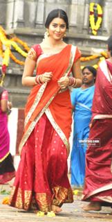 Shriya Saran feet photo thumbnail