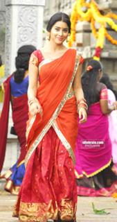 Shriya Saran feet photo thumbnail