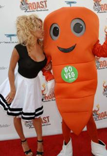 Pamela Anderson feet photo thumbnail