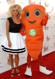Pamela Anderson feet photo thumbnail