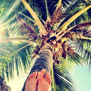 Elsa Hosk feet photo thumbnail