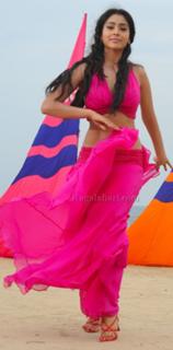 Shriya Saran feet photo thumbnail