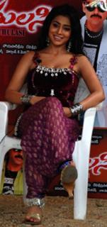 Shriya Saran feet photo thumbnail