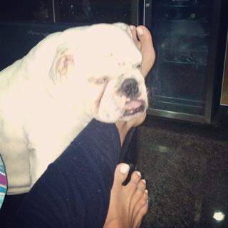 Gracyanne Barbosa feet photo thumbnail