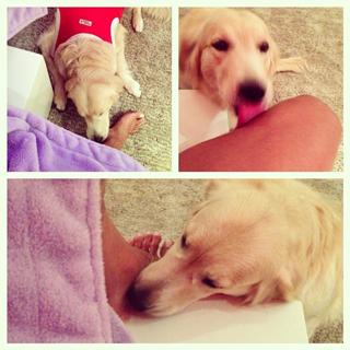 Gracyanne Barbosa feet photo thumbnail